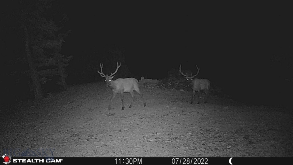 TBD Indian Creek Road, Townsend MT 59644