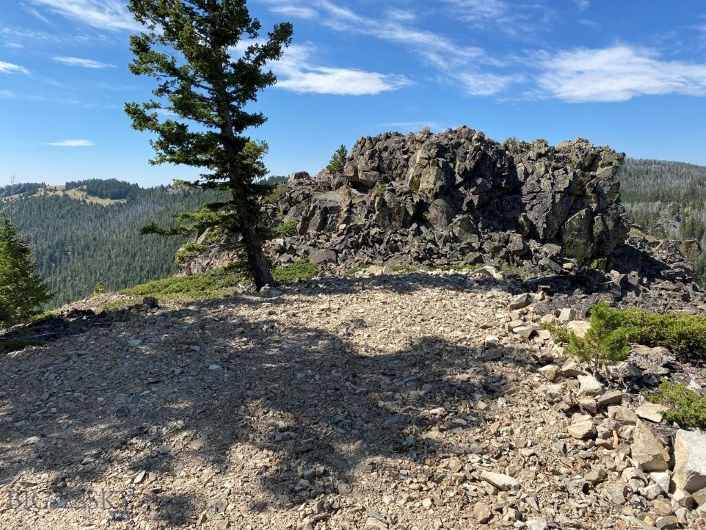 TBD Indian Creek Road, Townsend MT 59644