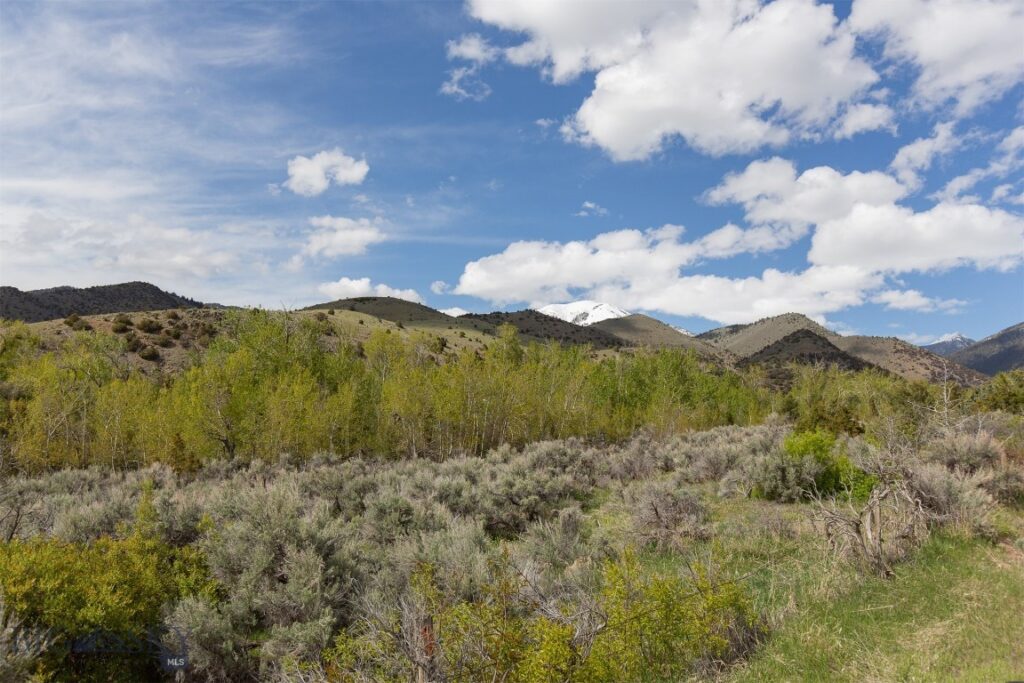 9 Booth Gulch Lane, Sheridan MT 59749
