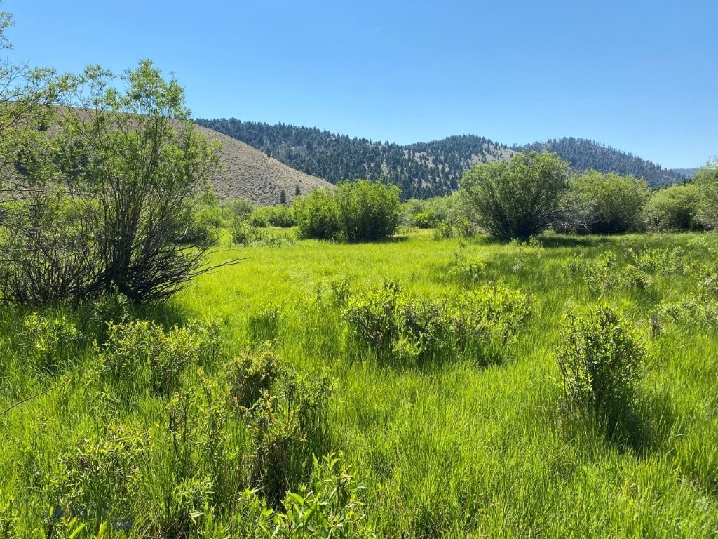 TBD Camp Creek Road, Melrose MT 59743