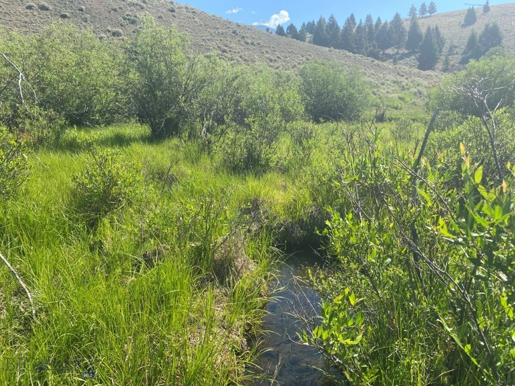TBD Camp Creek Road, Melrose MT 59743