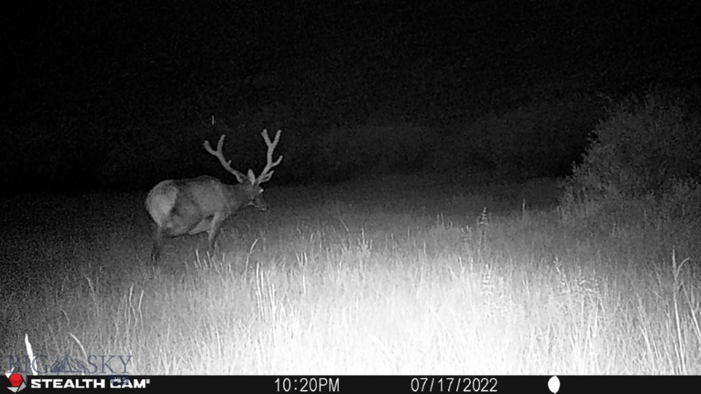 TBD Camp Creek Road, Melrose MT 59743