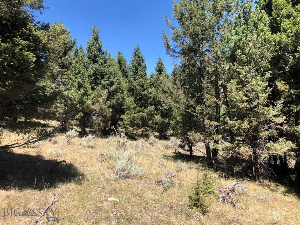 TBD Camp Creek Road, Melrose MT 59743