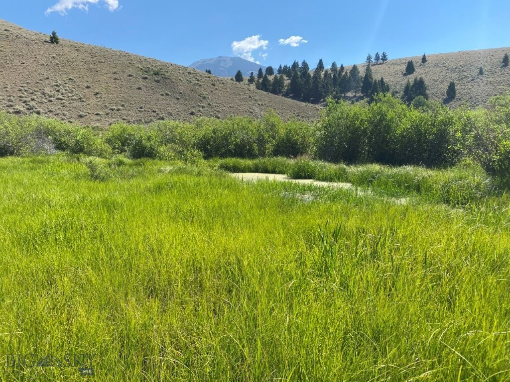 TBD Camp Creek Road, Melrose MT 59743