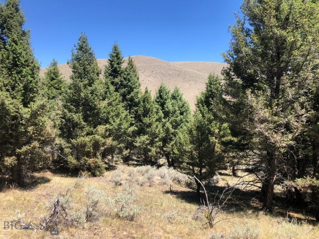 TBD Camp Creek Road, Melrose MT 59743