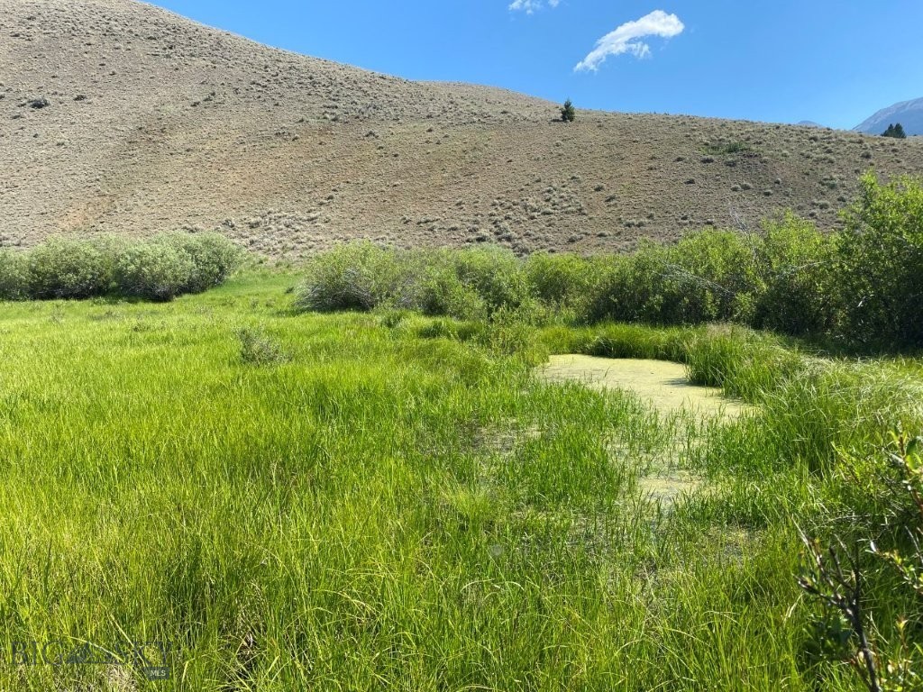 TBD Camp Creek Road, Melrose MT 59743