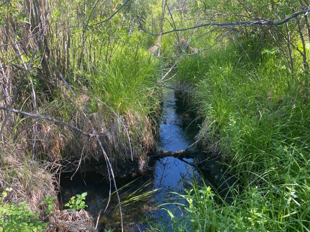 TBD Camp Creek Road, Melrose MT 59743