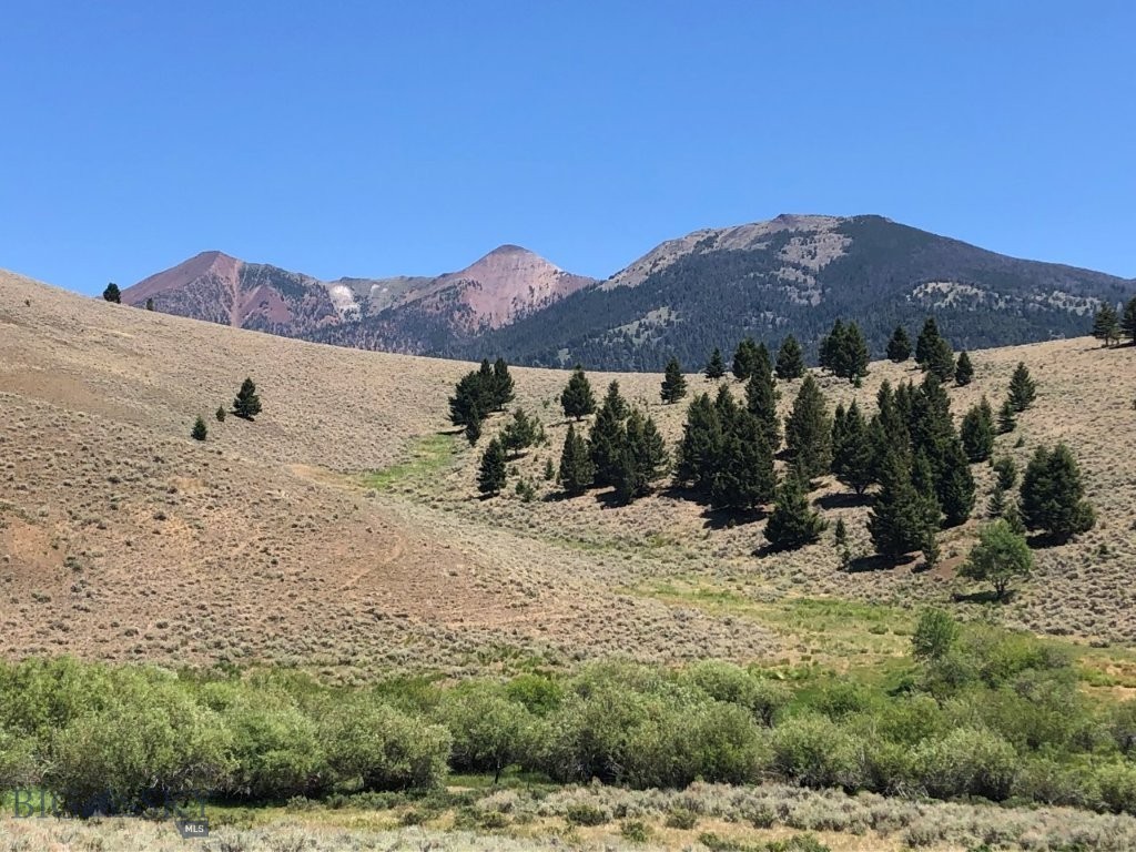 TBD Camp Creek Road, Melrose MT 59743
