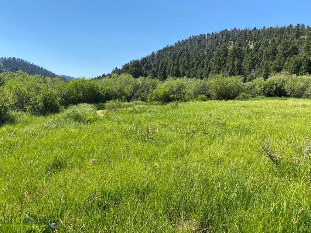 TBD Camp Creek Road, Melrose MT 59743