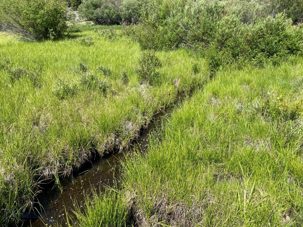 TBD Camp Creek Road, Melrose MT 59743