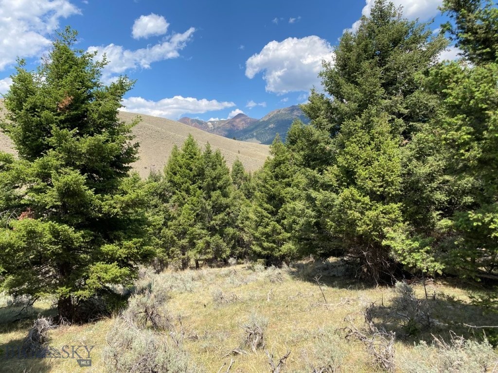 TBD Camp Creek Road, Melrose MT 59743