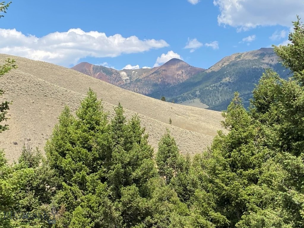 TBD Camp Creek Road, Melrose MT 59743