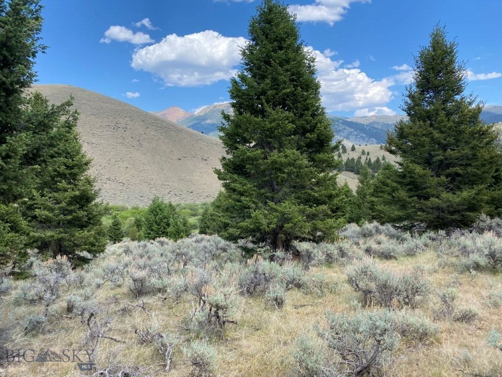 TBD Camp Creek Road, Melrose MT 59743