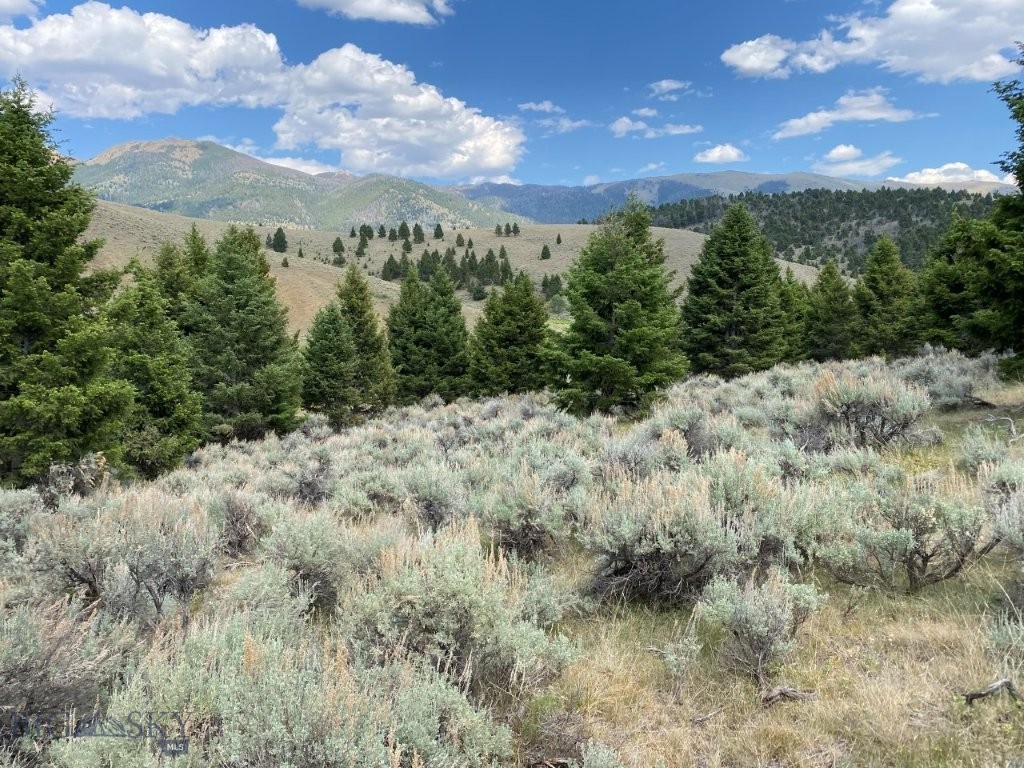 TBD Camp Creek Road, Melrose MT 59743