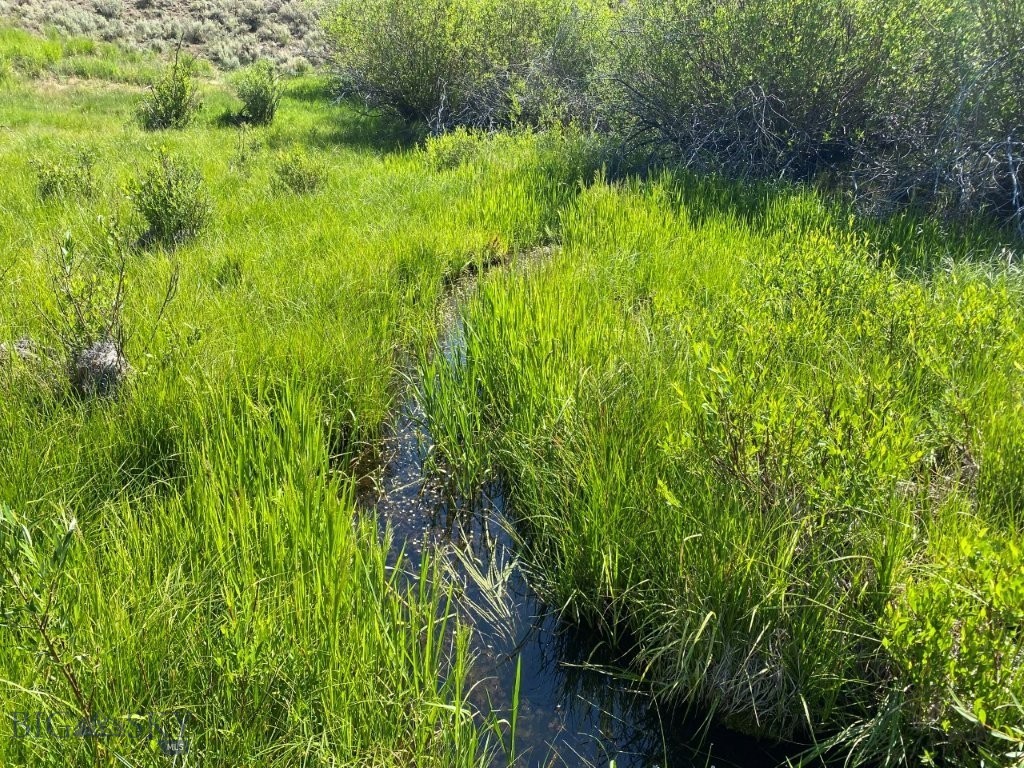 TBD Camp Creek Road, Melrose MT 59743