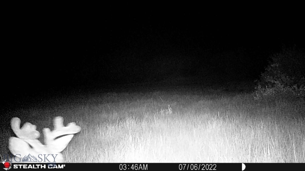 TBD Camp Creek Road, Melrose MT 59743