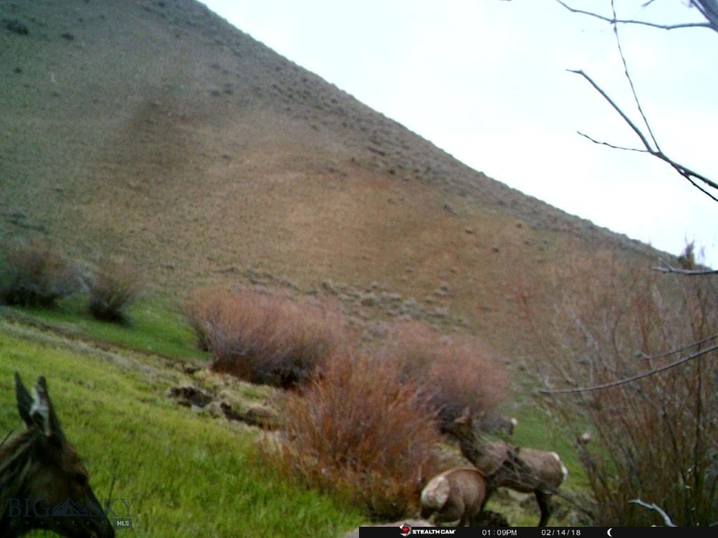TBD Camp Creek Road, Melrose MT 59743