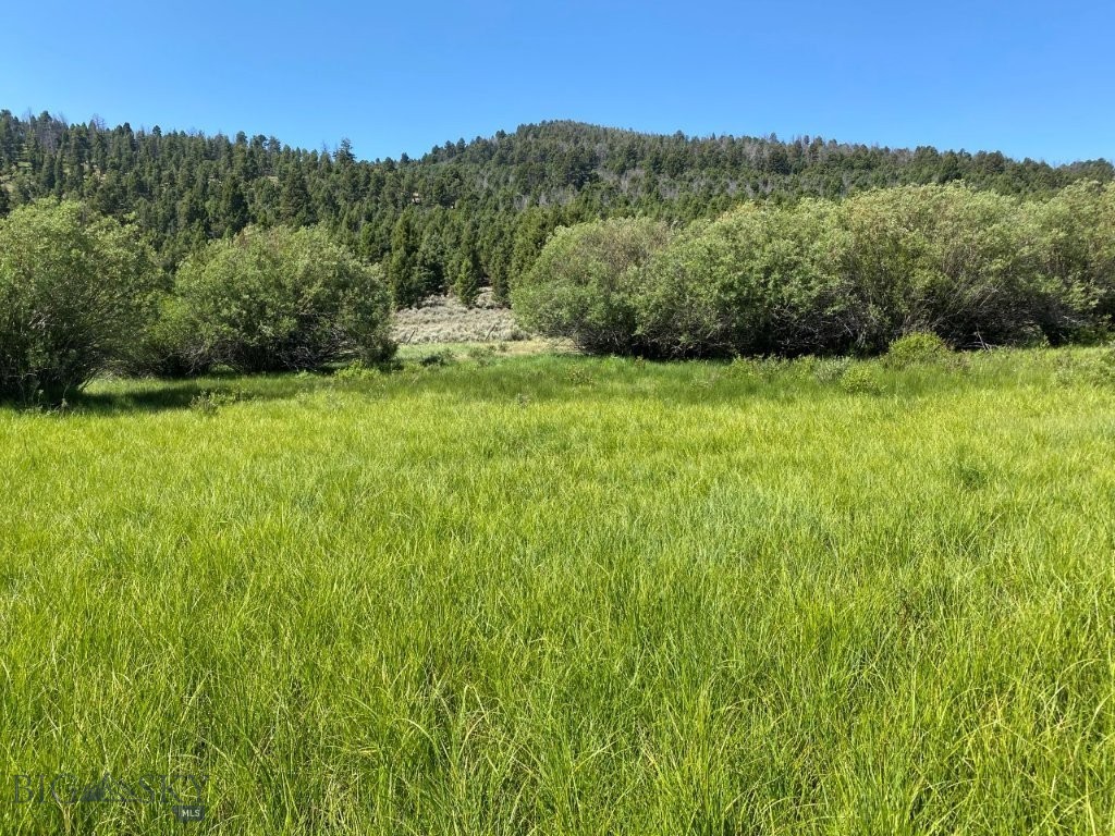 TBD Camp Creek Road, Melrose MT 59743