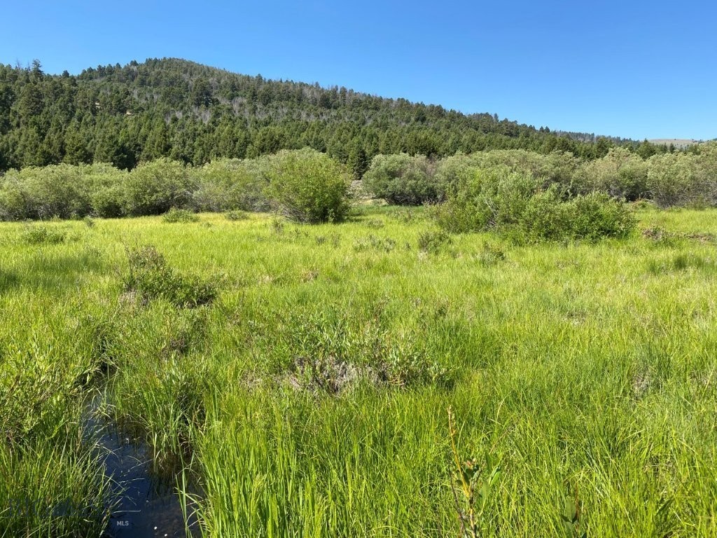 TBD Camp Creek Road, Melrose MT 59743