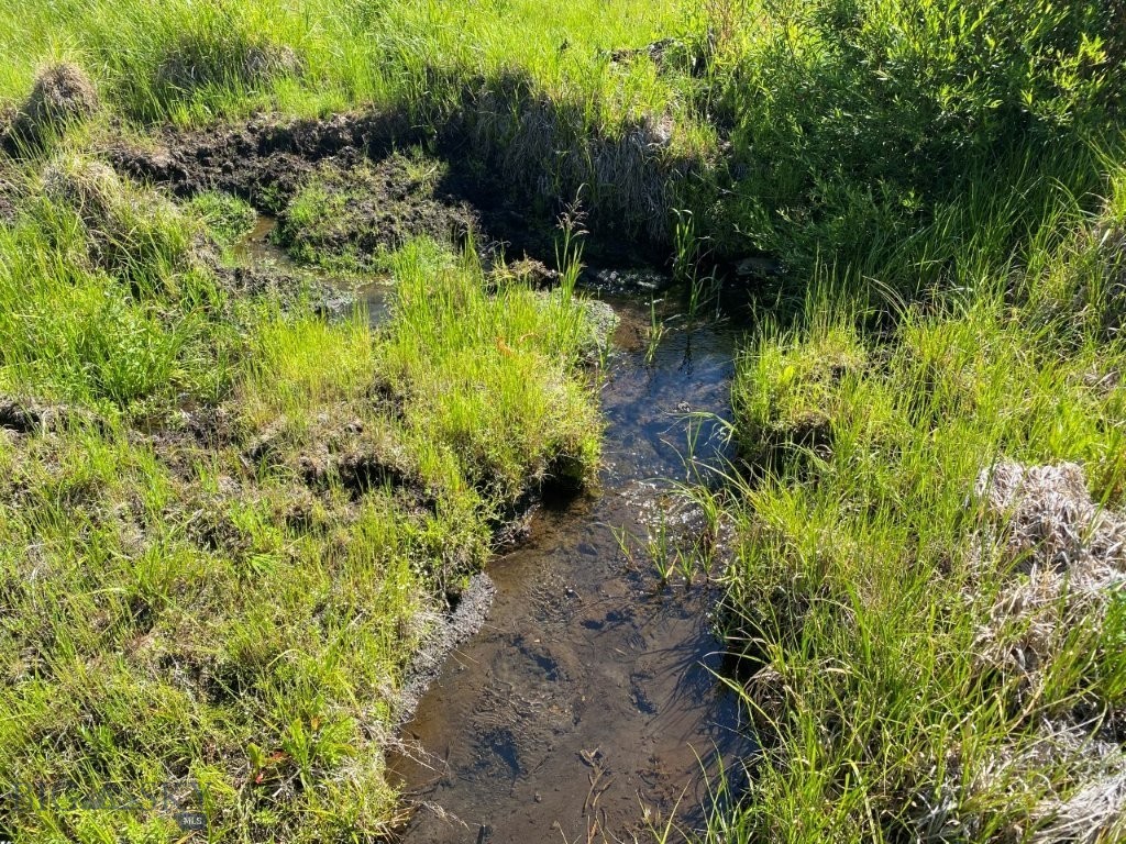 TBD Camp Creek Road, Melrose MT 59743
