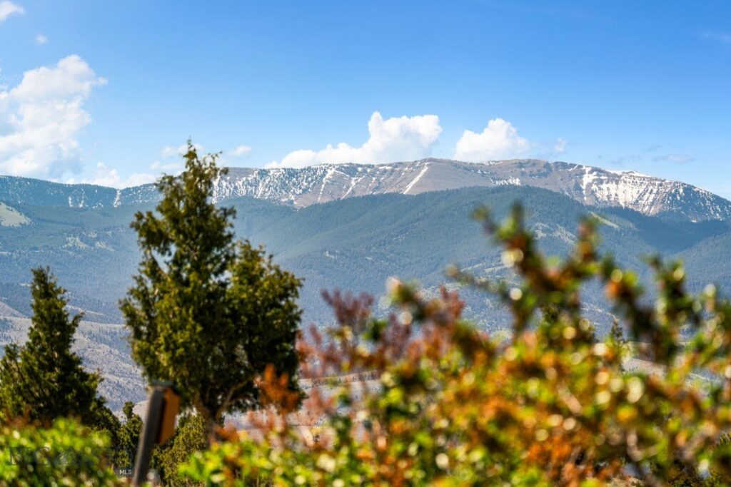 25 Sundowner Road, Sheridan MT 59749