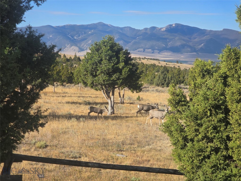 25 Sundowner Road, Sheridan MT 59749