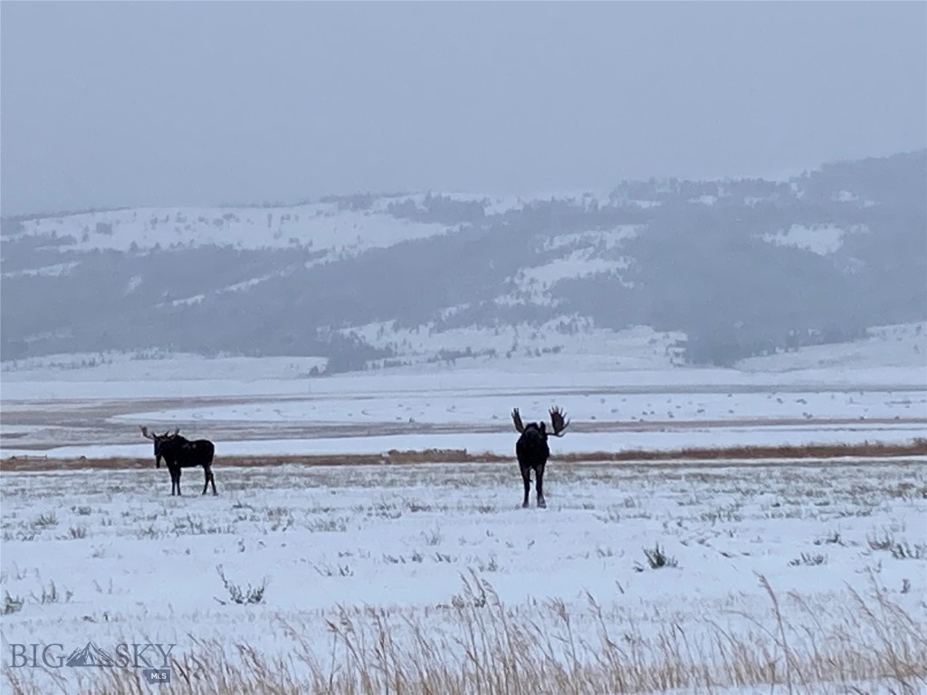 8950 Chevallier Drive, Helena MT 59602