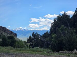 Unknown - 1