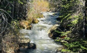 970 Lower Clear Creek Trail, Anaconda MT 59711