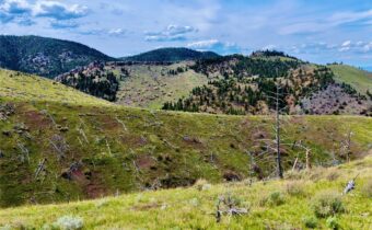 0 Ridge Road, Townsend MT 59644