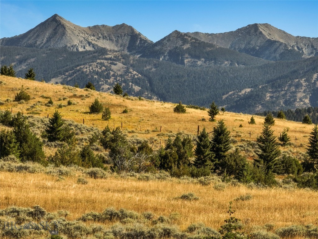 169 N Fork Horse Creek RD, Wilsall MT 59086