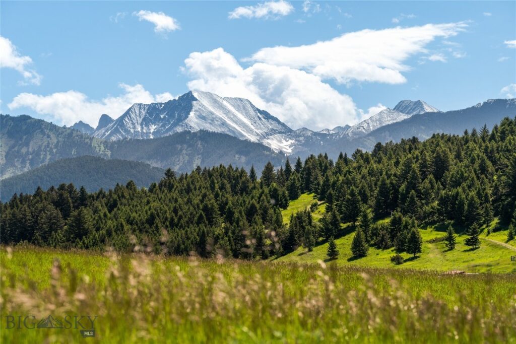 169 N Fork Horse Creek RD, Wilsall MT 59086