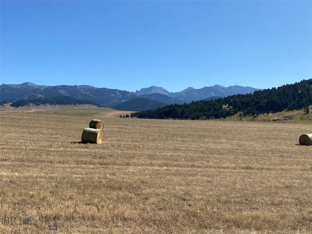 169 N Fork Horse Creek RD, Wilsall MT 59086