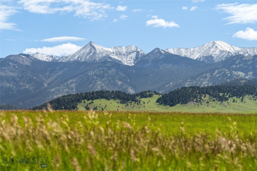 169 N Fork Horse Creek RD, Wilsall MT 59086