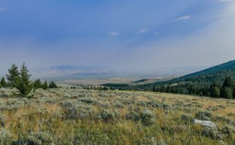 , Dillon MT 59725