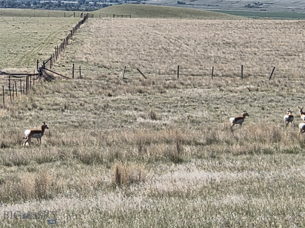 60 acres Raghorn Court, Ennis MT 59729