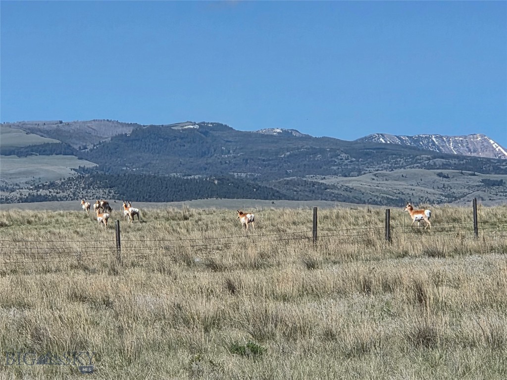 60 acres Raghorn Court, Ennis MT 59729