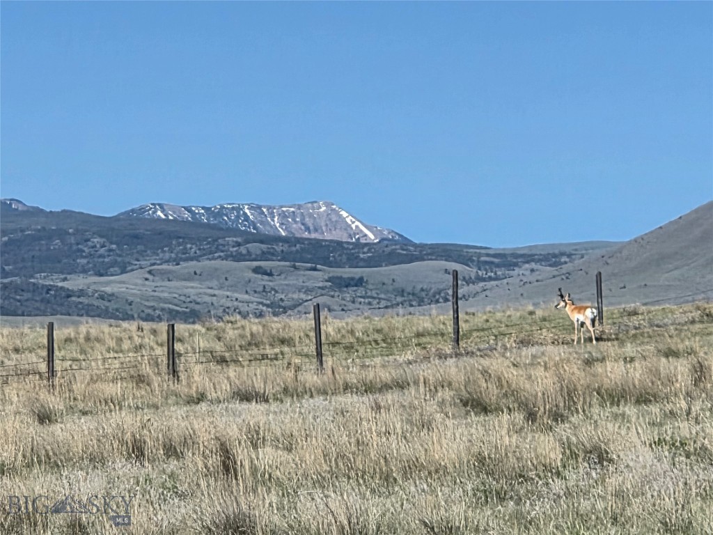 60 acres Raghorn Court, Ennis MT 59729