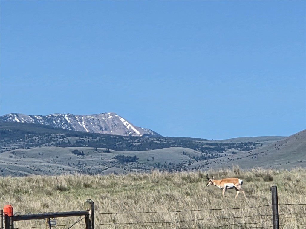 60 acres Raghorn Court, Ennis MT 59729