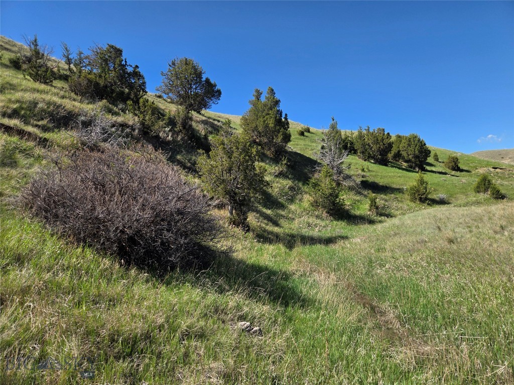 60 acres Raghorn Court, Ennis MT 59729