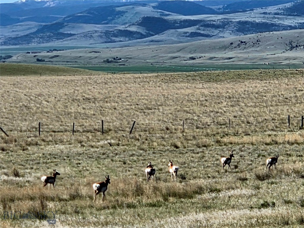 60 acres Raghorn Court, Ennis MT 59729