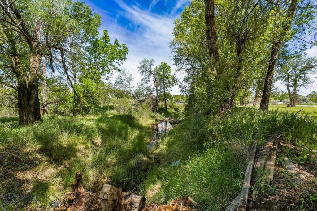 9th St Island Drive, Livingston MT 59047