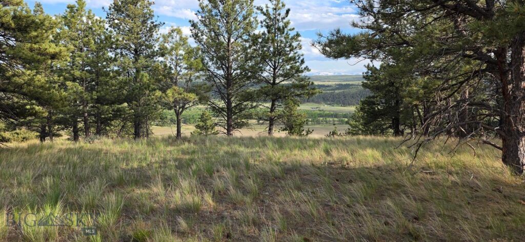 215 Shanks Basin Road, Big Timber MT 59011