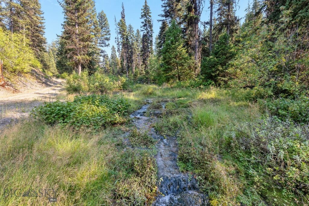 6300 Camas Creek Road, Bonner MT 59823