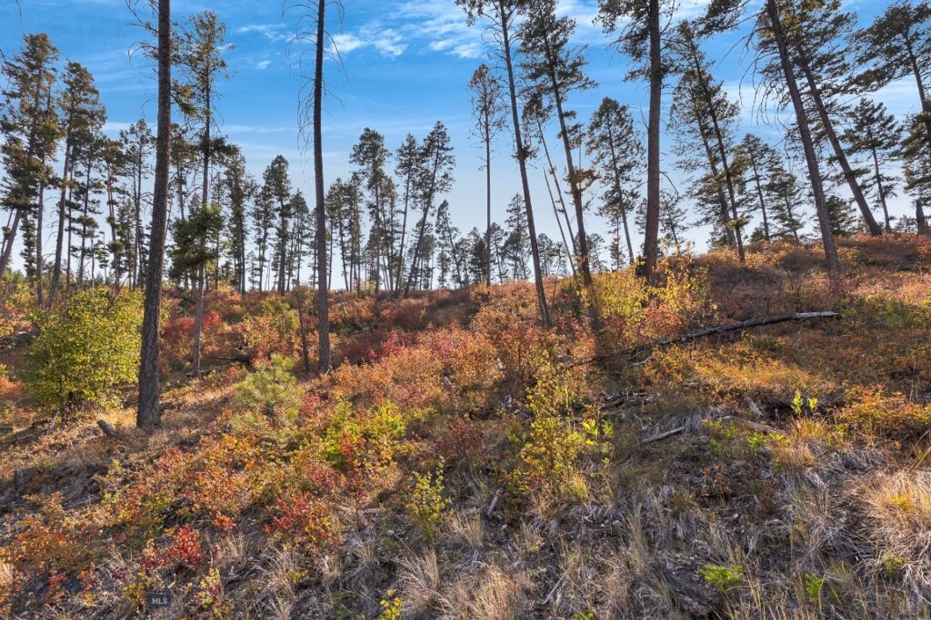 6300 Camas Creek Road, Bonner MT 59823