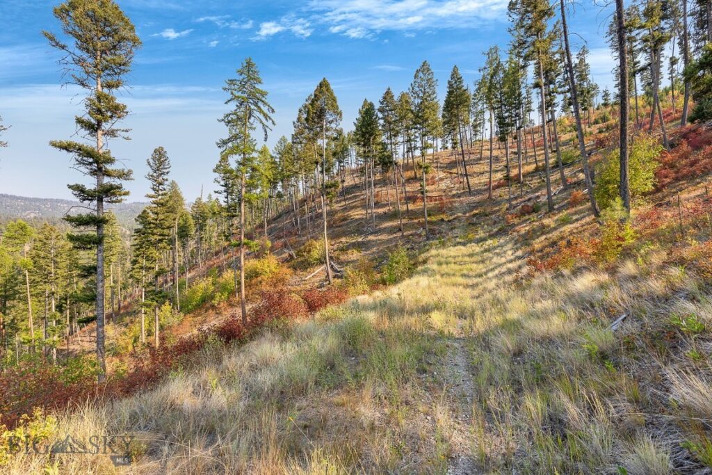 6300 Camas Creek Road, Bonner MT 59823
