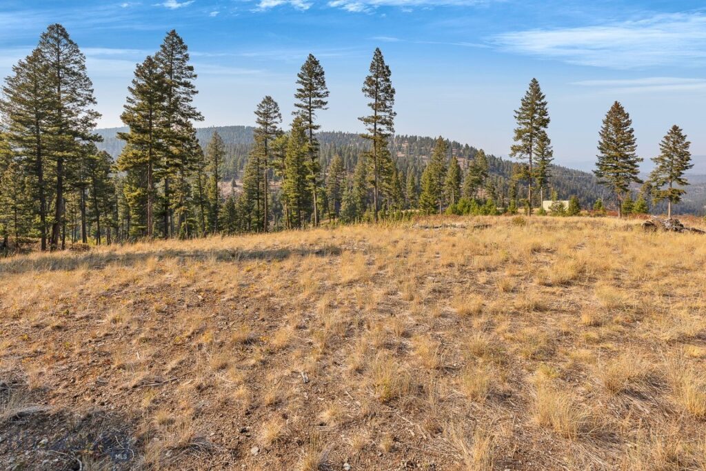 6300 Camas Creek Road, Bonner MT 59823