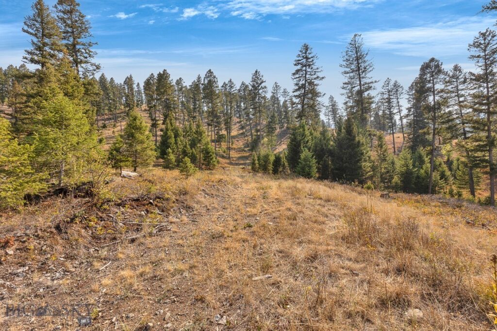 6300 Camas Creek Road, Bonner MT 59823
