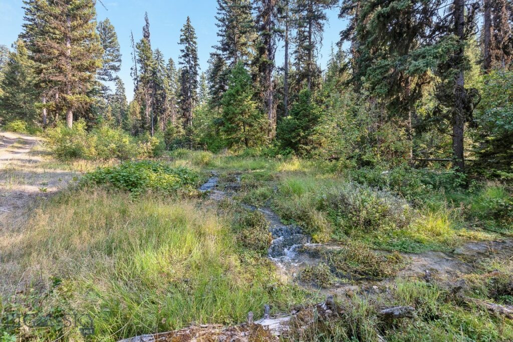 6300 Camas Creek Road, Bonner MT 59823