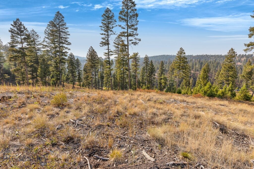 6300 Camas Creek Road, Bonner MT 59823